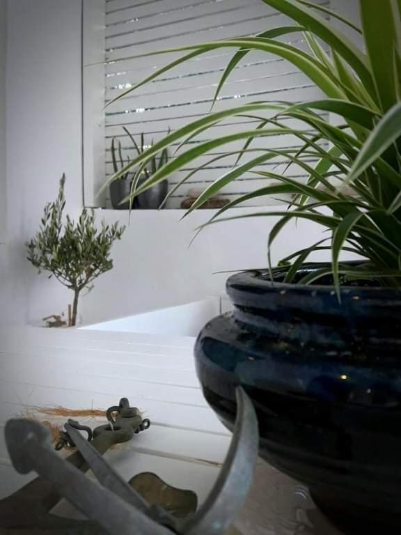 Tatil Evi On The *